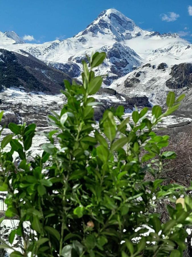 Emotion Kazbegi 아파트 외부 사진