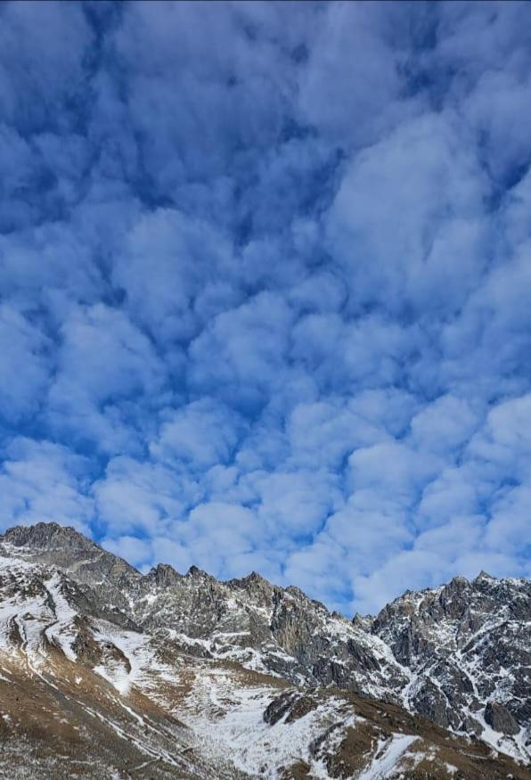 Emotion Kazbegi 아파트 객실 사진