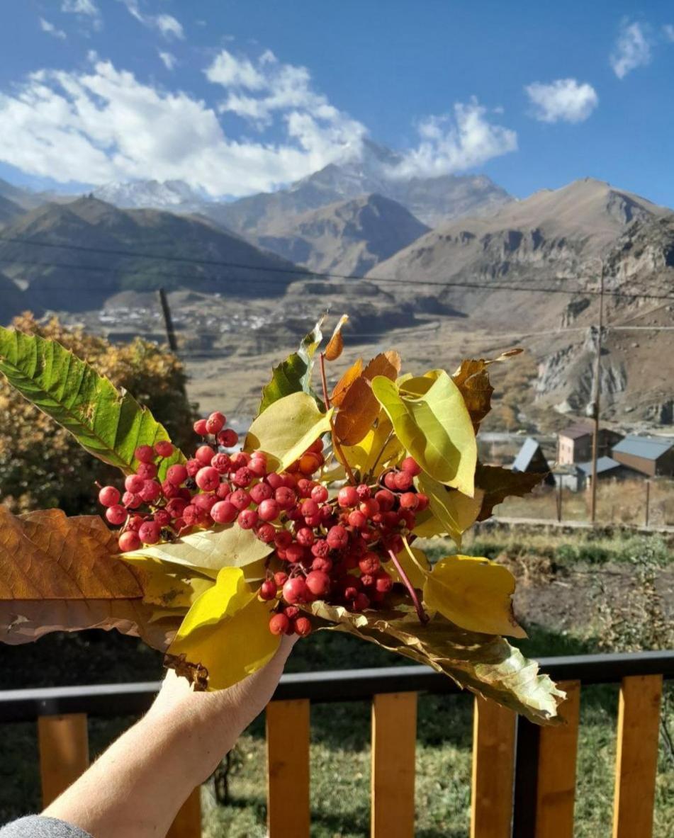 Emotion Kazbegi 아파트 객실 사진
