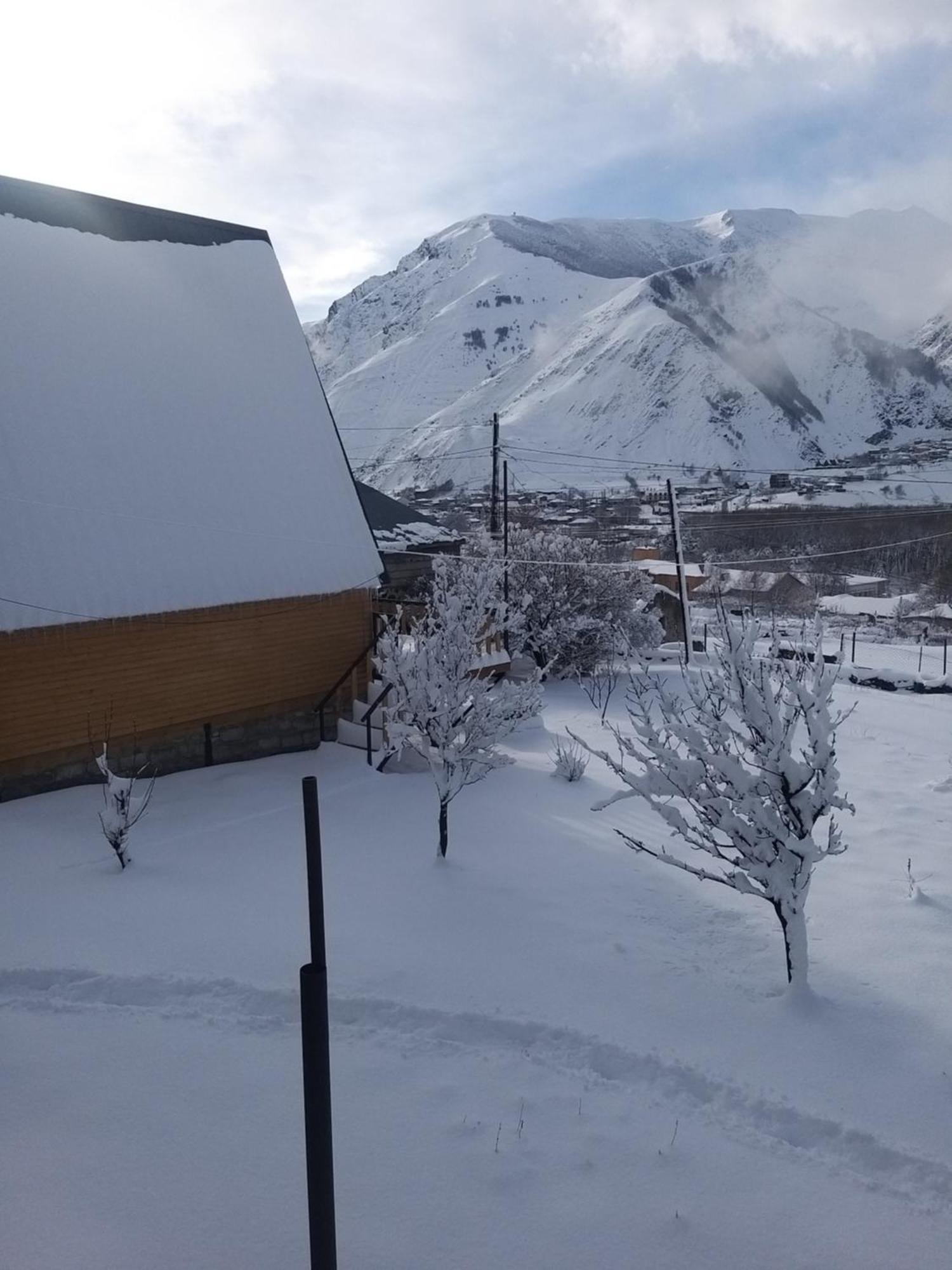 Emotion Kazbegi 아파트 객실 사진