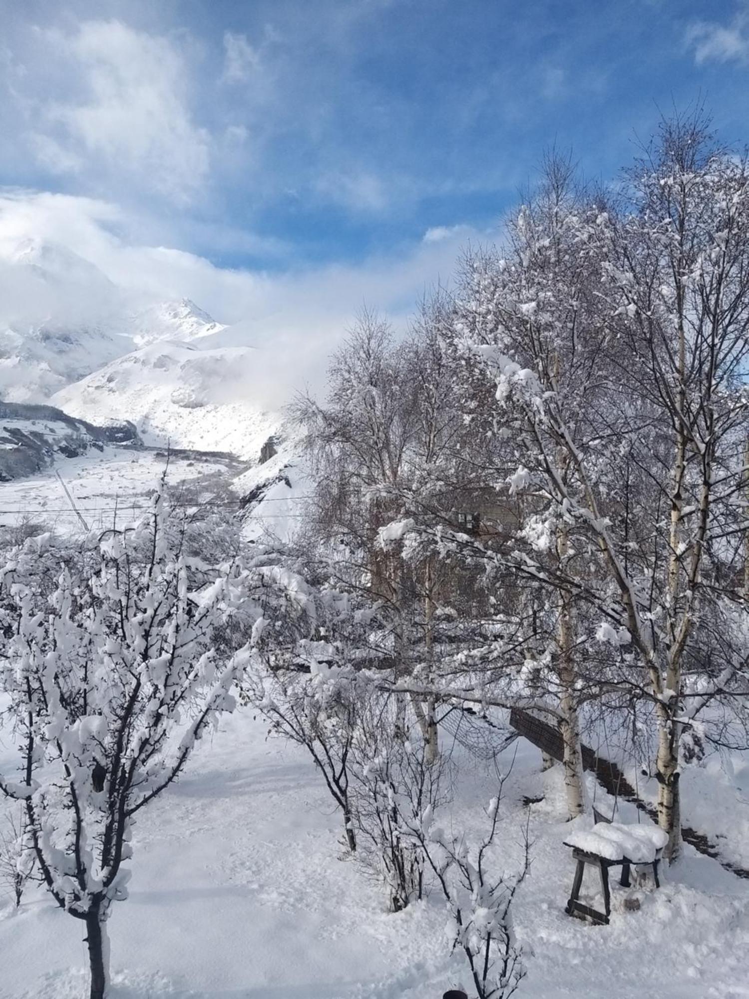 Emotion Kazbegi 아파트 객실 사진