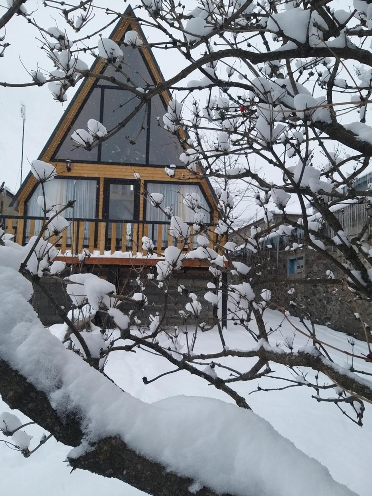 Emotion Kazbegi 아파트 객실 사진