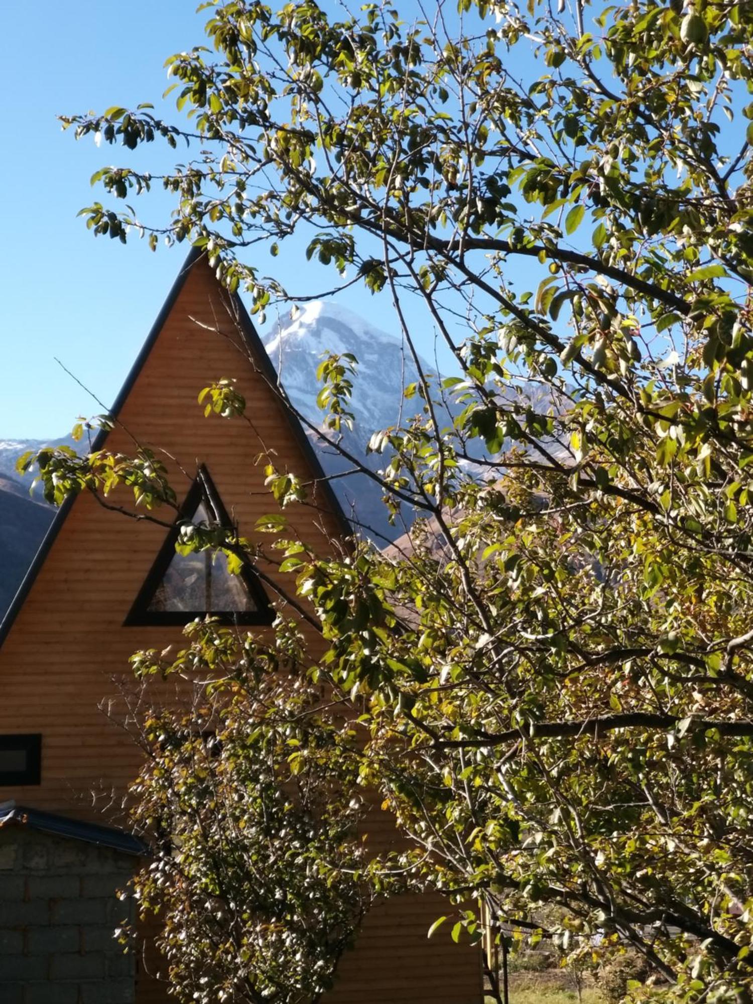 Emotion Kazbegi 아파트 객실 사진
